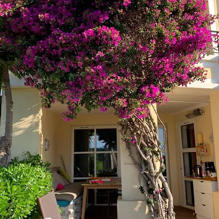 דירה -residence En Rez De Jardin Avec Piscine Chauffee Du 04 Avril Au 01 Novembre -parking - Climatisation - Domaine Du Cap Esterel Raphael *