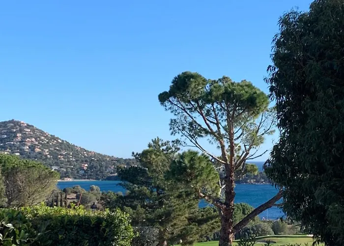 -résidence En Rez De Jardin Avec Piscine Chauffée Du 04 Avril Au 01 Novembre -parking - Climatisation - Domaine Du Cap Estérel Raphaël Apartamento Saint-Raphaël